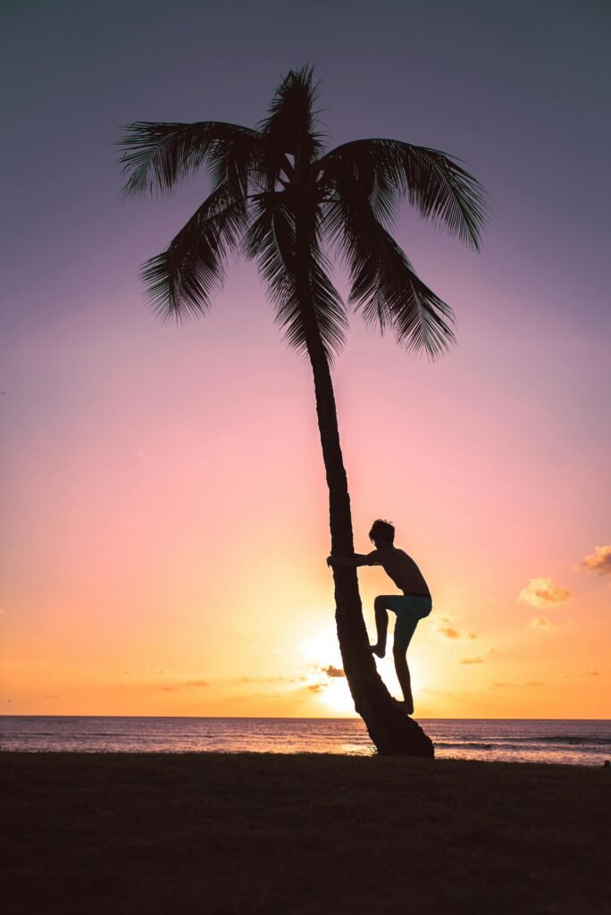 A silhouette of a person climbing a palm tree against a vibrant sunset on a tropical beach.